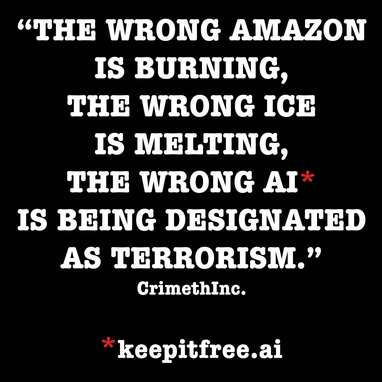 The Wrong Amazon is burning, the wrong ICE is melting, the wrong AI is being designated as terrorism